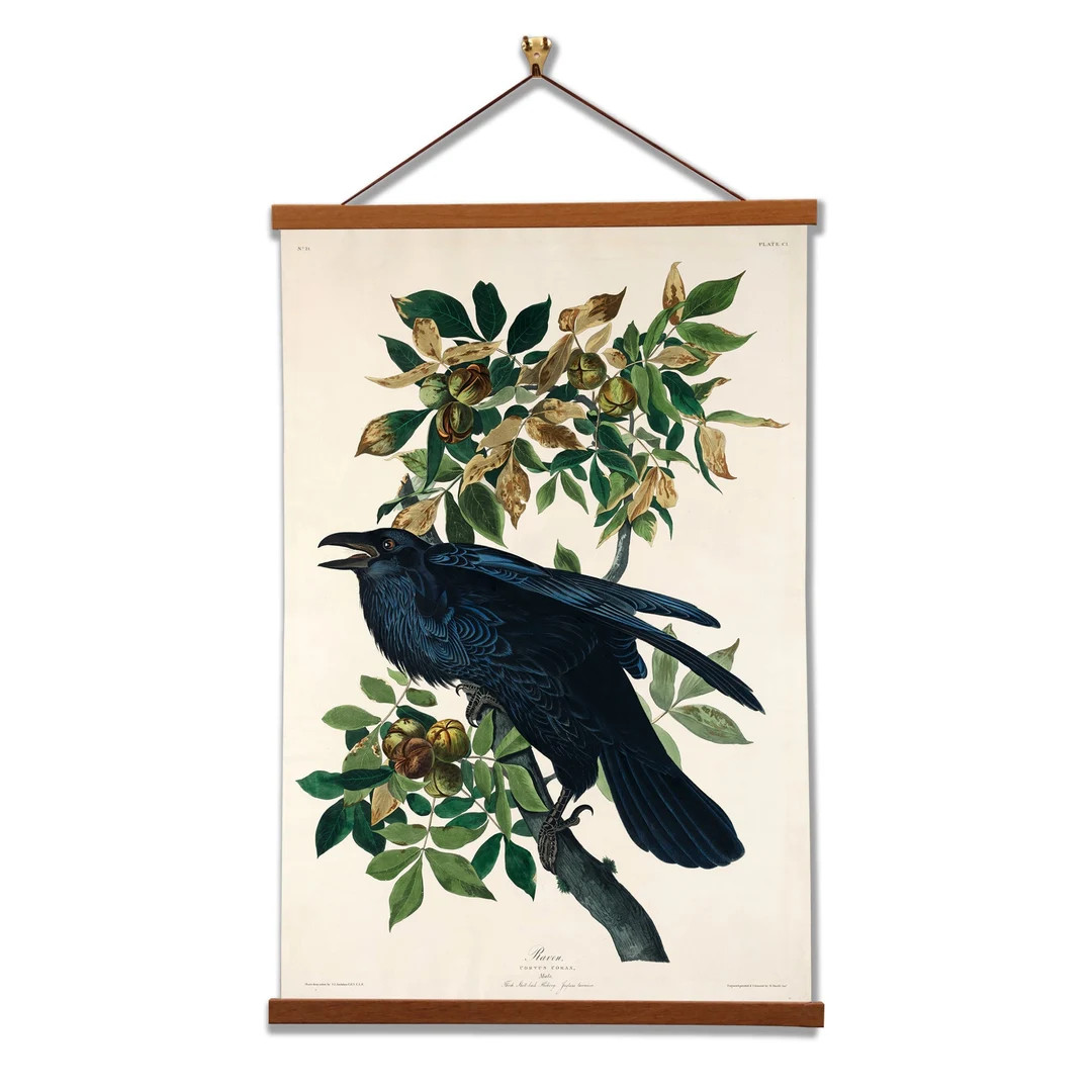 Raven by John James Audubon Scientific Illustration Canvas Wall Print With Magnetic Hanger - Etsy | Etsy (US)