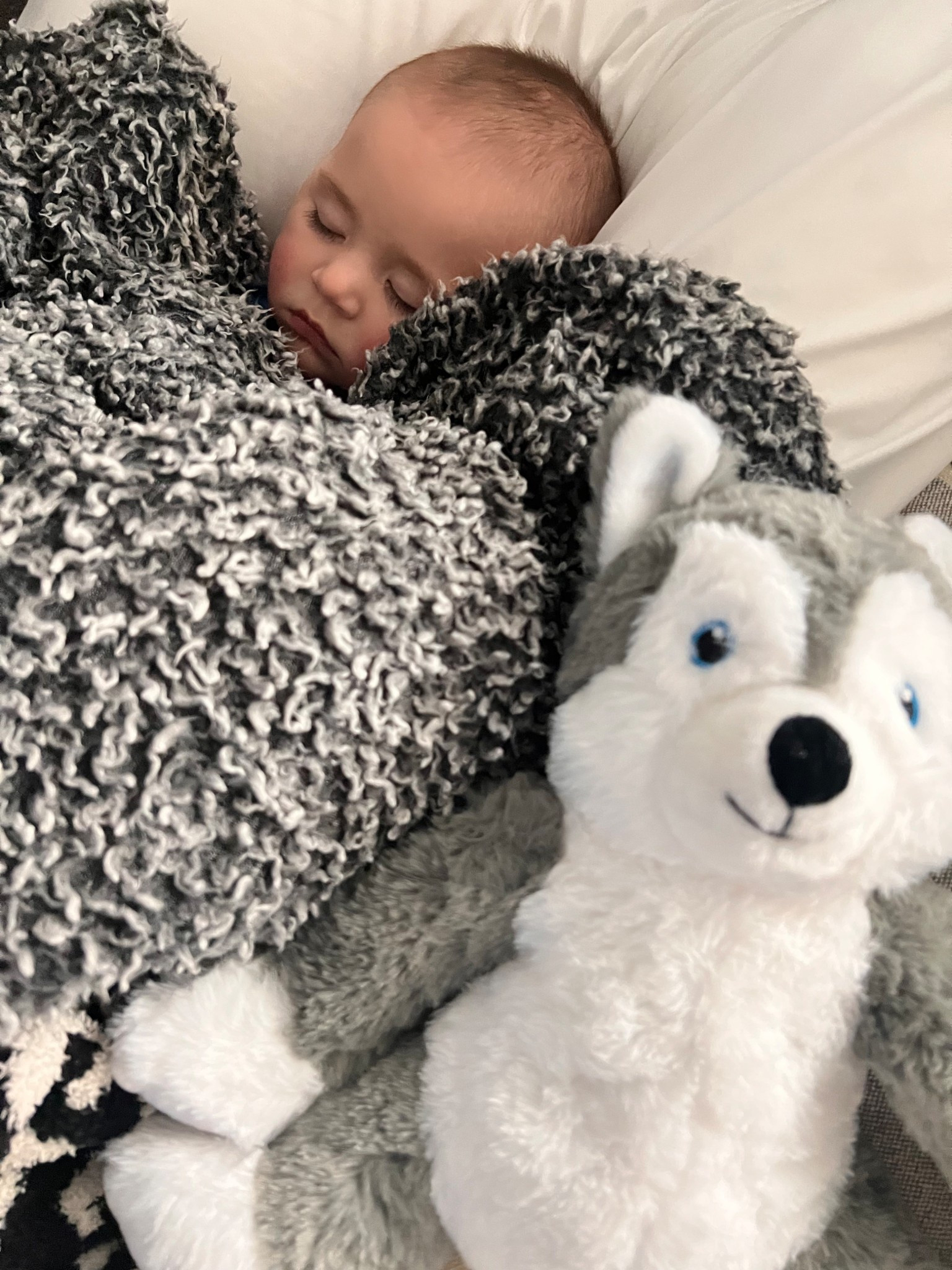 Colter loves his husky wolf that you can warm up when they are sick. 🥹

#LTKKids #LTKBaby #LTKBump