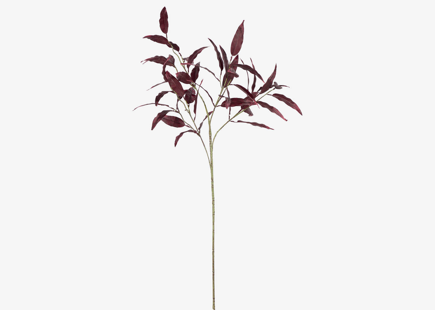 Jody Cordyline Branch Bordeaux | Urban Barn