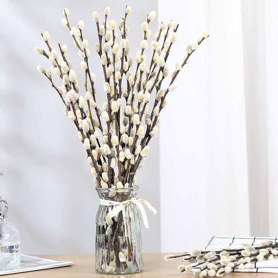 Natural Preserved Dried PussyWillow Branches for Vases, 15 Stems Real Willows, 17" Snow Pussywill... | Amazon (US)