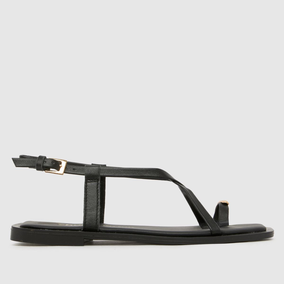 Womens Black schuh Taran Metal Leather Toeloop Sandals | schuh | Schuh