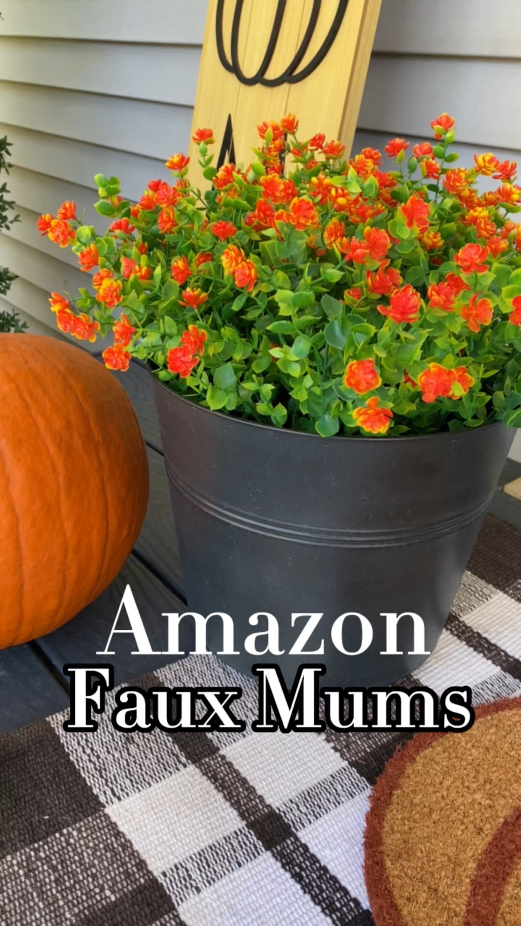 I love having fresh bright mums on my fall porch every year! I decided to add in a few faux ones this year so I didn’t have to worry about the upkeep. These faux flower stems from Amazon have great reviews and fill up my 9 inch round planter perfectly! 


#fauxmums #fallporch #falldecor #fallporchideas #amazonfinds

#LTKSeasonal #LTKunder50 #LTKhome