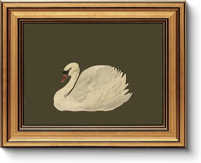 WHASAYART Gold Framed Vintage Wall Art for Living Room, Animals Painting Prints Shelf Decor for K... | Amazon (US)