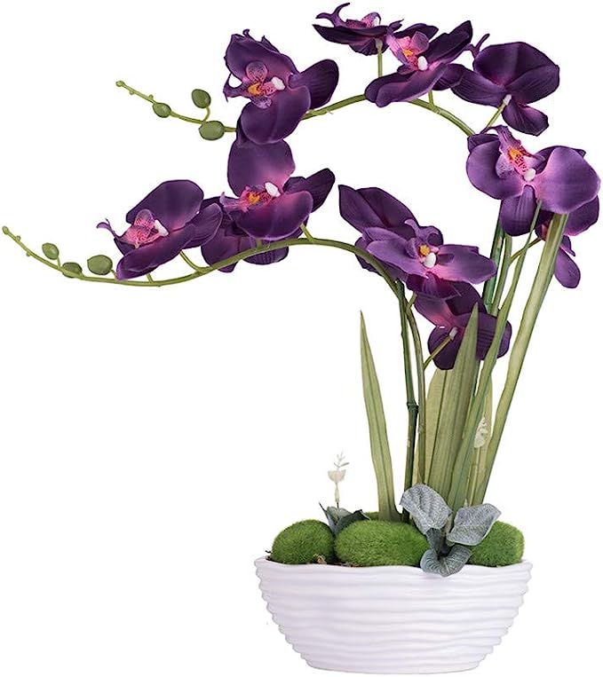 YSZL Large Artificial Potted Orchid Plant, Silk Flower Arrangement with Ceramics Vase, Dark Purpl... | Amazon (US)