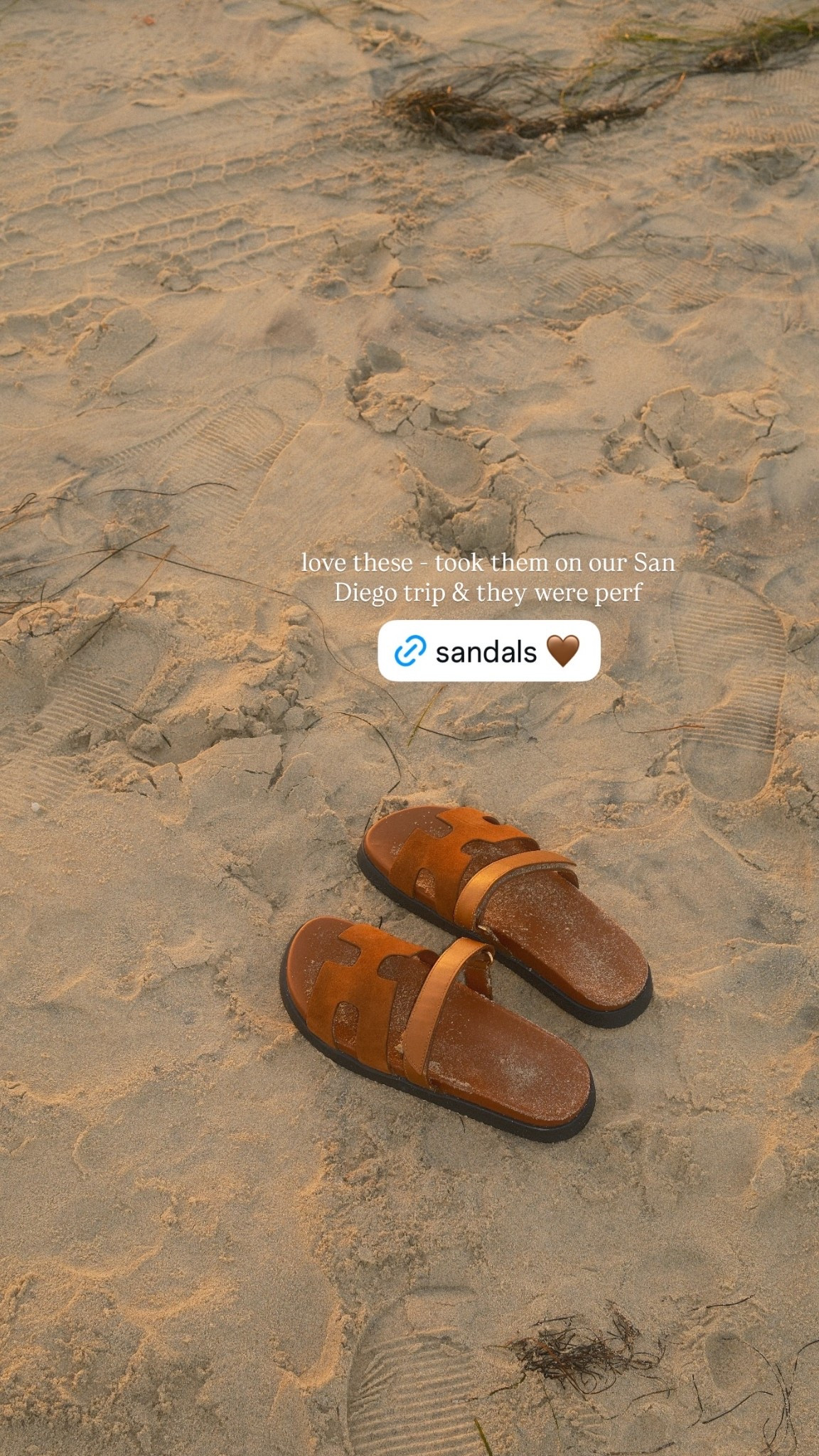 love these @Steve Madden US sandals - took them on our San Diego trip & they were perf

#LTKfitnessgoals #LTKSeasonal #LTKSwim
