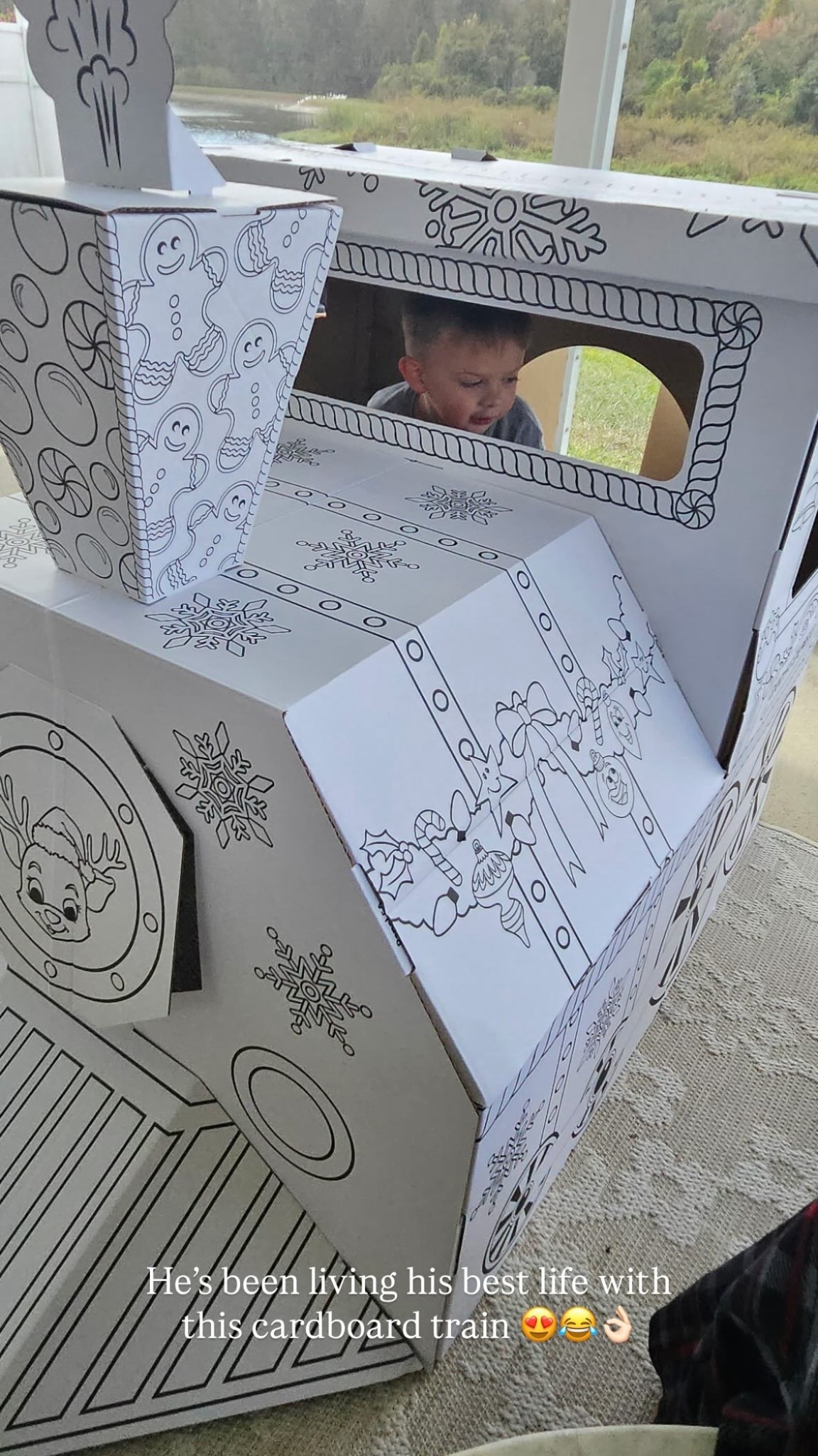 He’s been living his best life with this cardboard Christmas train from Walmart!  😍😂👌🏻

#LTKKids #LTKHoliday #LTKGiftGuide