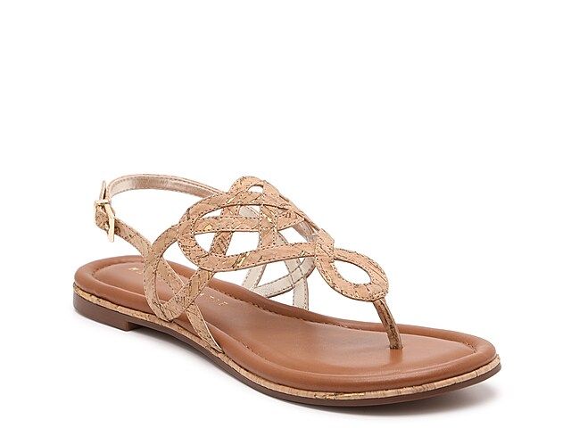 Payden Sandal | DSW