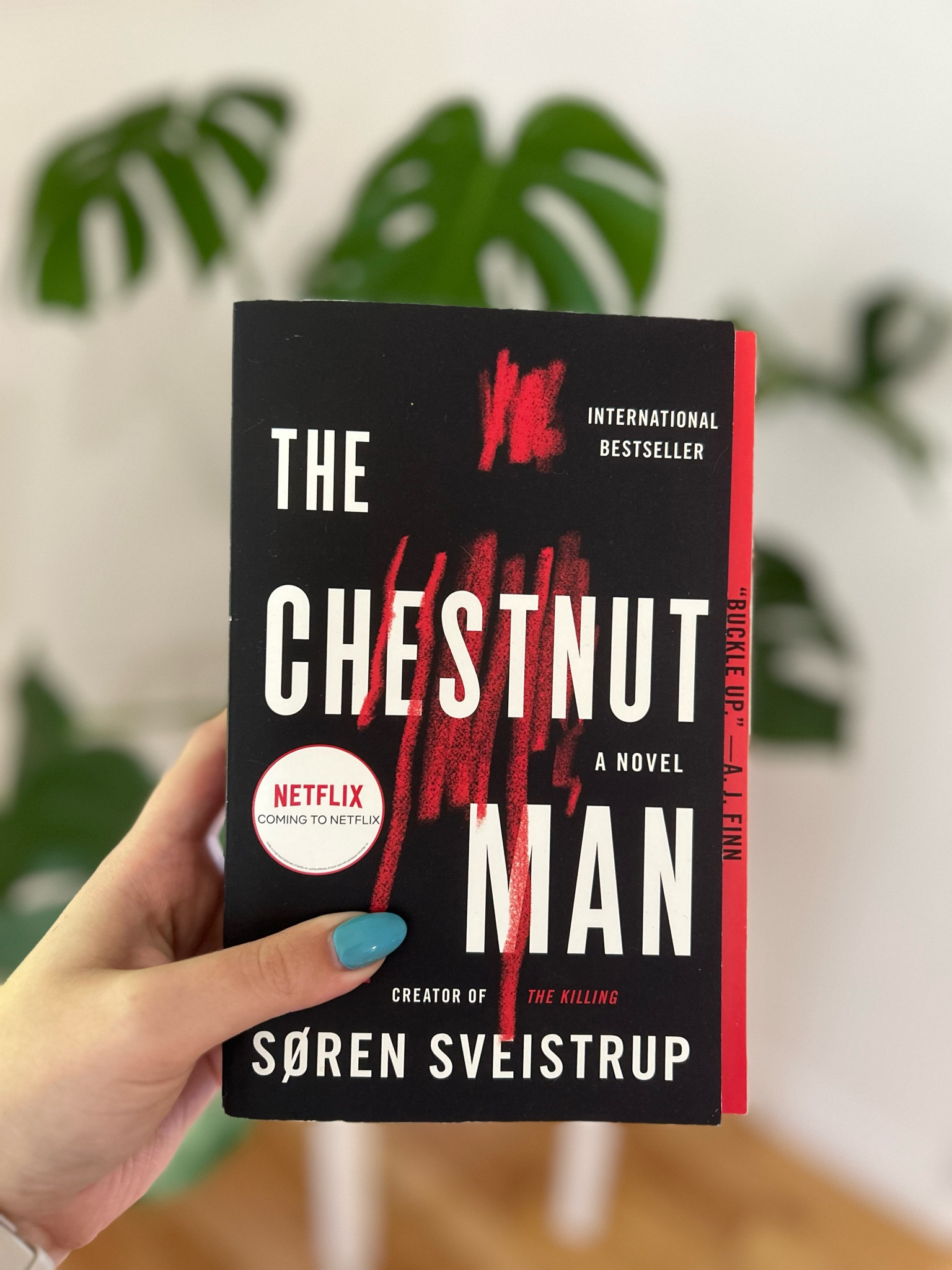 If you love books then check out these trending books great for the fall

Books, book, fiction books, booktok, book lover, novel, gift idea, gift guide, fall book, autumn book, mystery book, thriller book, halloween book, Soren Sveistrup, The Chestnut Man 

#books 


#LTKfamily #LTKgiftguide #LTKautumn