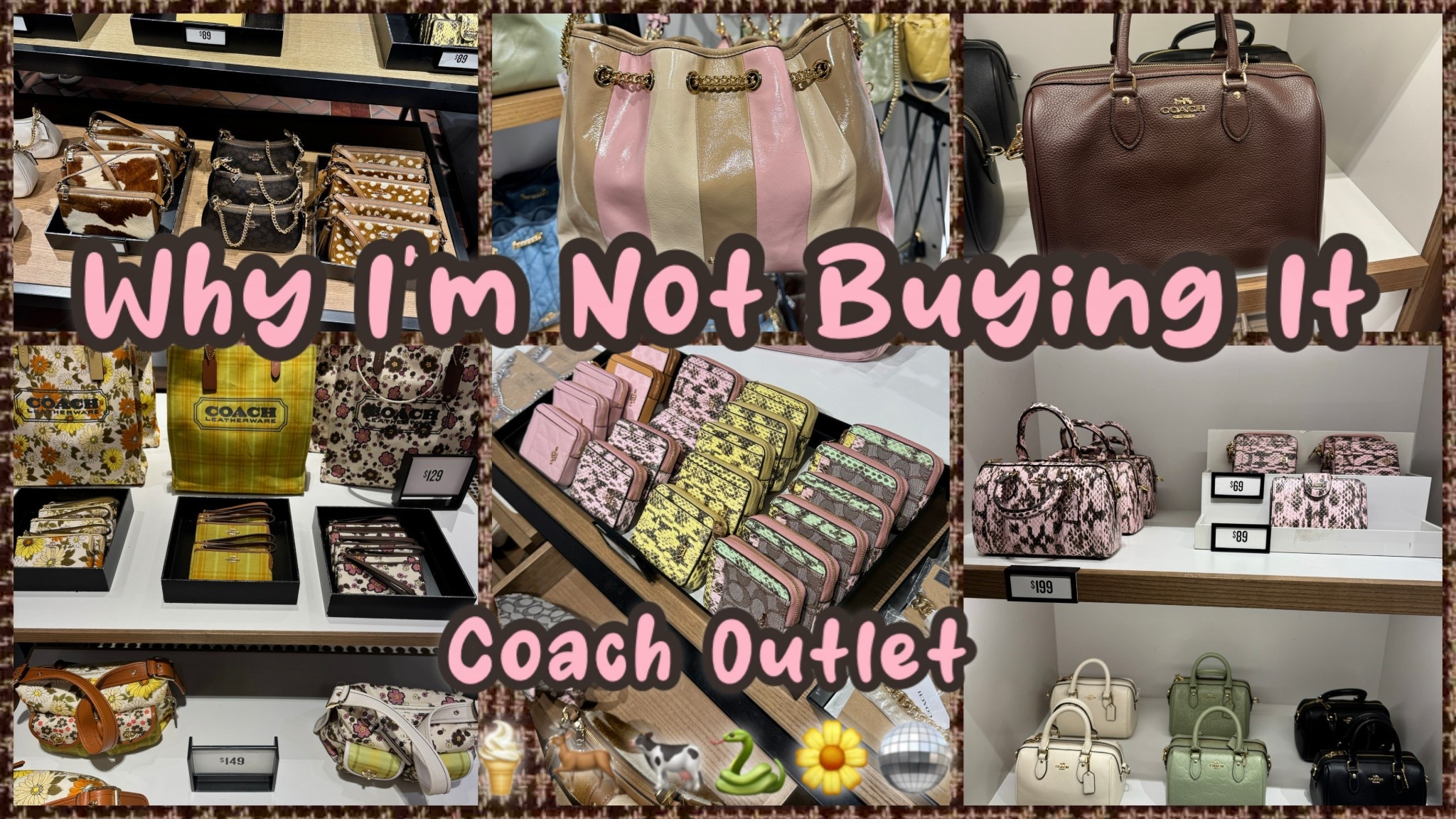 Eye candy from my latest episode of why I’m not buying it from the coach outlet drop! #coachoutlet #coachbag 