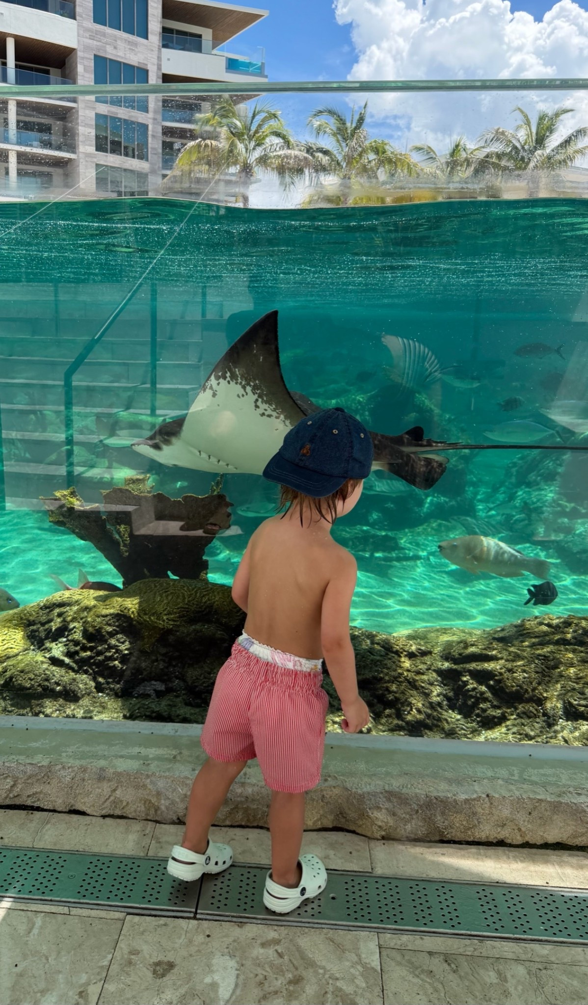 Toddler picks for vacay 🏊

#LTKSwim #LTKKids #LTKTravel