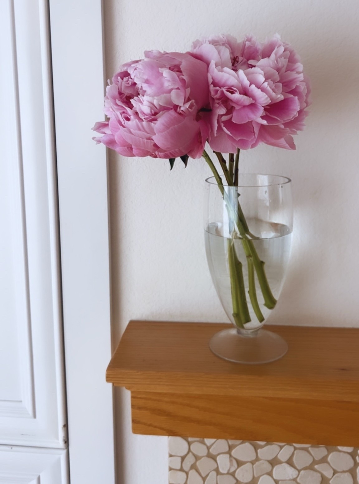 Vase Love ✨
… I have a zillion different vases, lots of them unique / colorful / fun,  but this simple one is my all time favorite. Looking for a few more but the exact simplicity of this one isn’t everywhere. Linking a few currents I do love though (including a drinking goblet that would be cute as a bud vase)!

#LTKdayinmylife #LTKHome