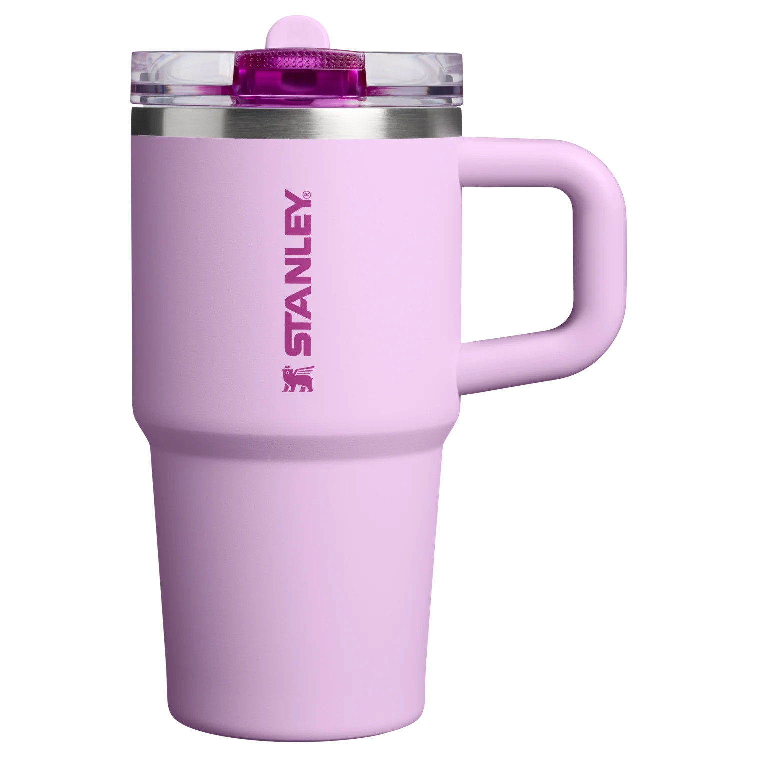 The Quencher ProTour Flip Straw Tumbler | 20 OZ | Stanley 1913 (US)