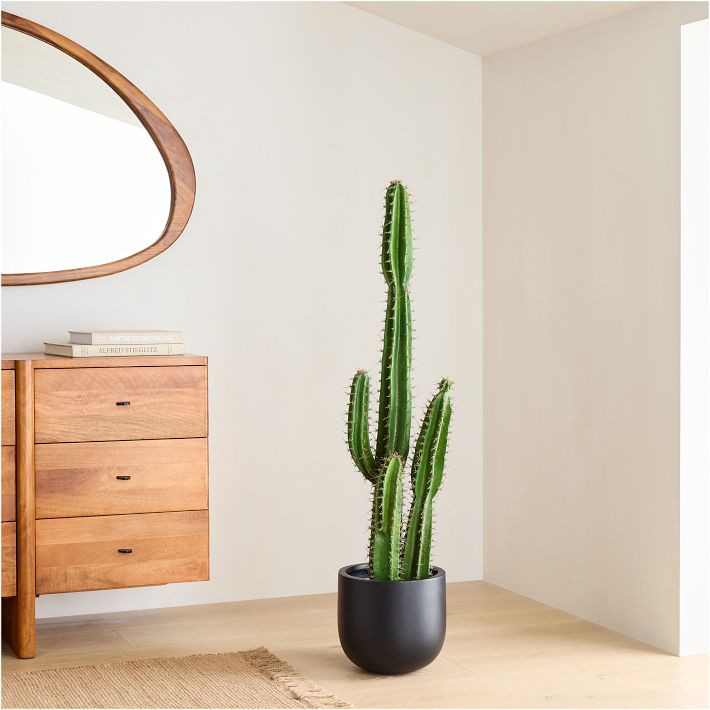 Faux Potted Cactus Plant | West Elm (US)