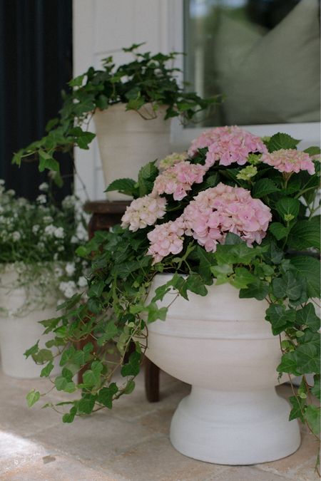 cottage garden front porch planters with hydrangeas and ivy 

#LTKSeasonal #LTKhome