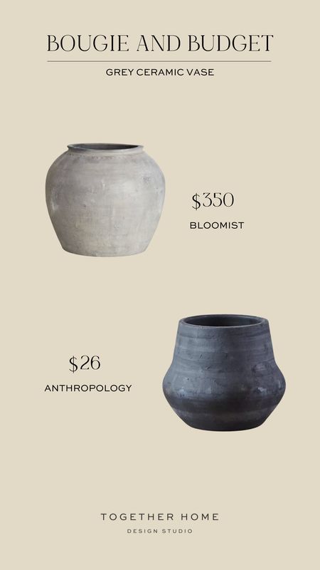 You don’t always have to spend a fortune to get the look! We’re obsessed with both of these ceramic vase options ✨✨

#LTKstyletip #LTKhome #LTKfindsunder50
