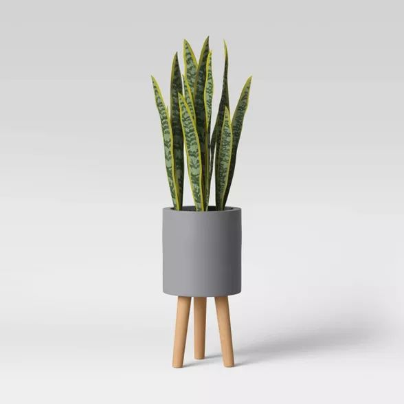 Faux Snake Floor Plant in Pot with Legs Gray/Green - Project 62&#8482; | Target