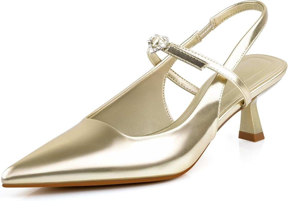 Closed Toe Pumps Women Chunky Block Heels Pointed Toed Ankle Strap Heel Pump Shoe Office Wedding ... | Amazon (US)