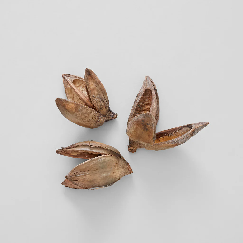 Natural Sora Pods | Bloomist