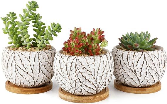 T4U 4 Inch Cement Succulent Plant Pot with Tray, Small Concrete Cactus Flower Planter Set of 3, L... | Amazon (US)