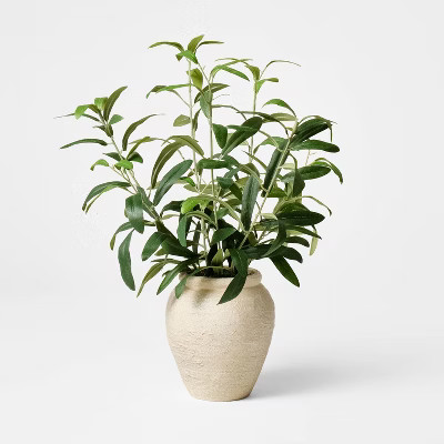 Small Olive Leaf Arrangement - Threshold™ designed with Studio McGee | Target