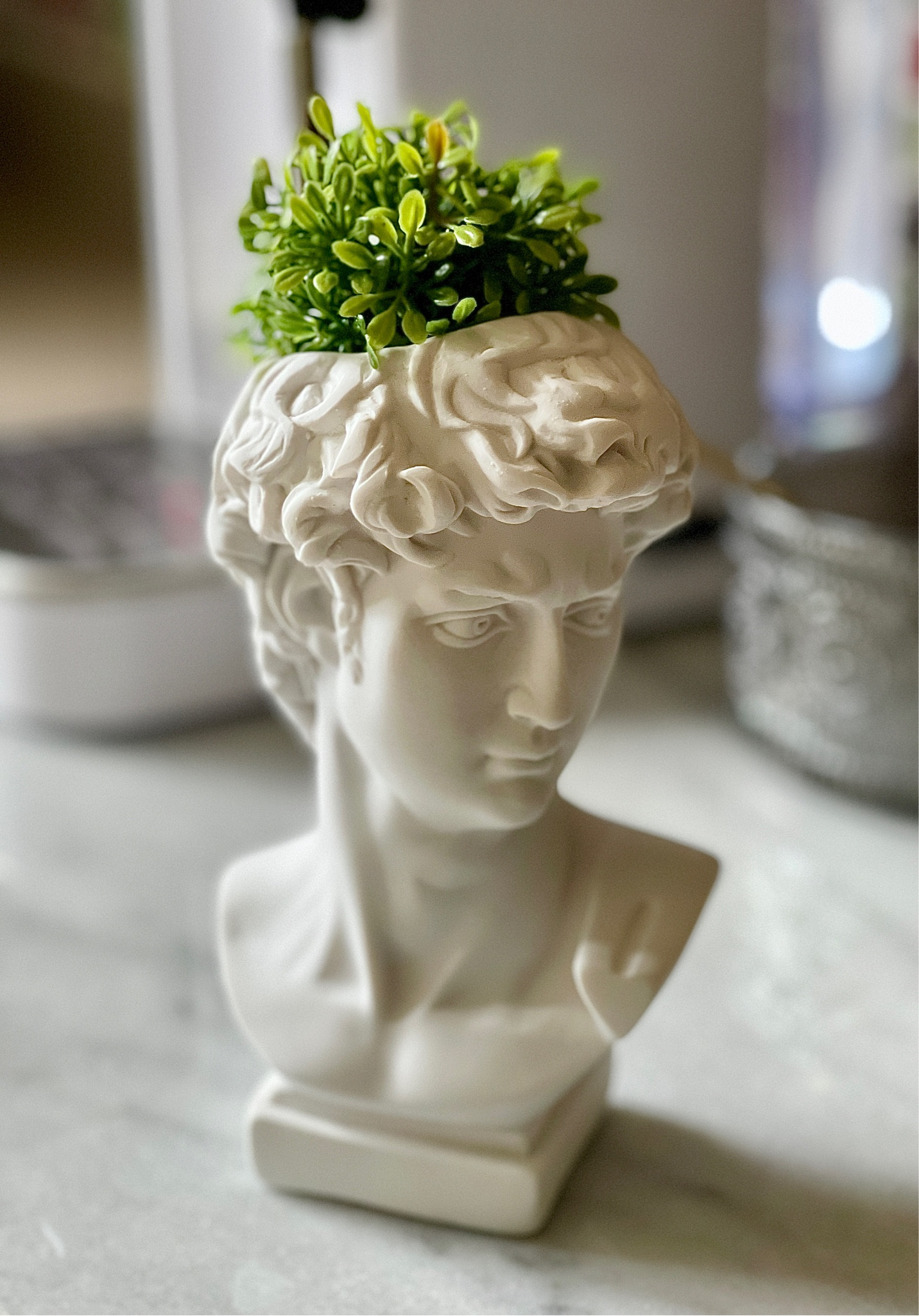 Coffee station decor details - how fun is this Grecian bust planter? I currently have it styled with boxwood topiary bowl filler but consider planting a new succulent in it. 

David statue, Greek bust, coffee bar, aesthetic decor, Amazon home, Amazon finds

#LTKhome #LTKunder50 #LTKFind