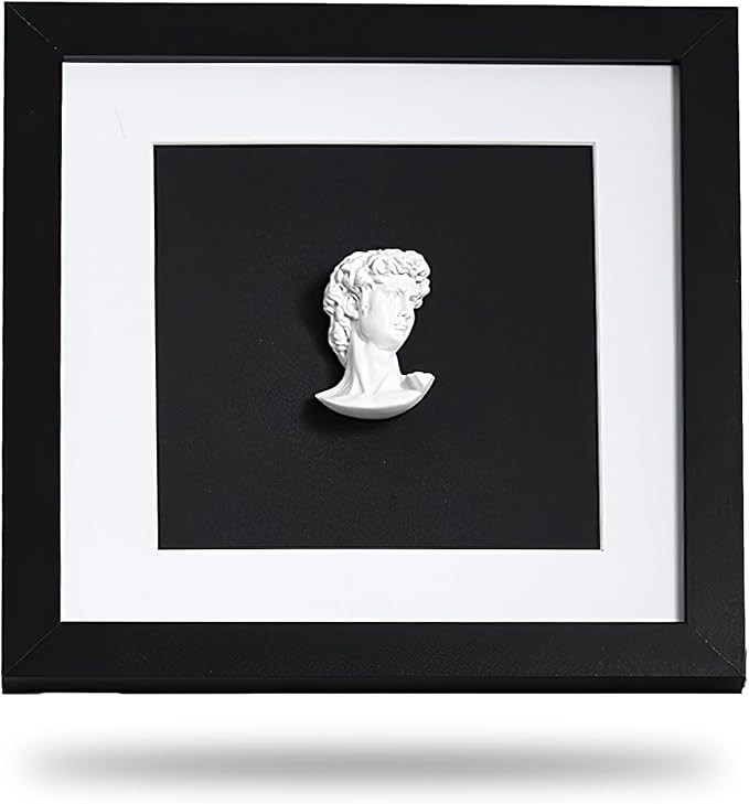 Milnnie 9×9" Modern Luxury David Frame Art Decor – Minimalist Resin Bust in Black and White Sh... | Amazon (US)