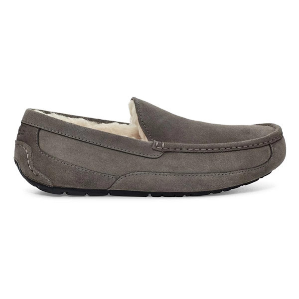 Men's UGG Ascot Slippers 15 Grey Heather | Scheels
