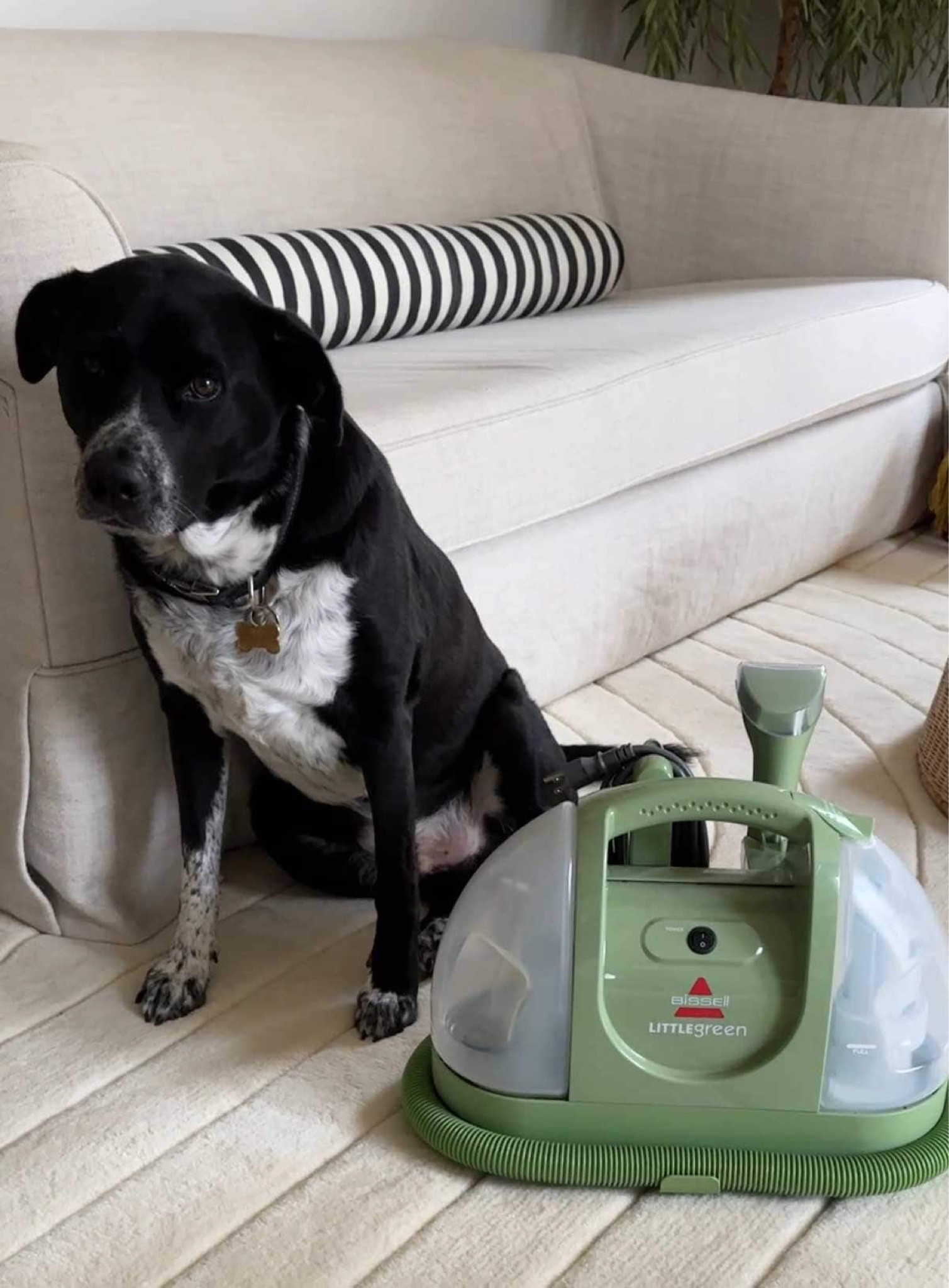 The Wayfair Black Friday sale is happening now! Get up to 80% off and free shipping sitewide on home decor, furniture, kitchen gadgets, appliances, holiday prep and more!

The Little Green Machine is a must-have and on sale now. Shop all my favorites for home. 

@Wayfair, #Wayfair, #WayfairPartner

Little green machine, bissell, carpet cleaner, upholstery cleaner, compact steam cleaner, wet vacuum cleaner 


#LTKSaleAlert #LTKHome #LTKCyberWeek