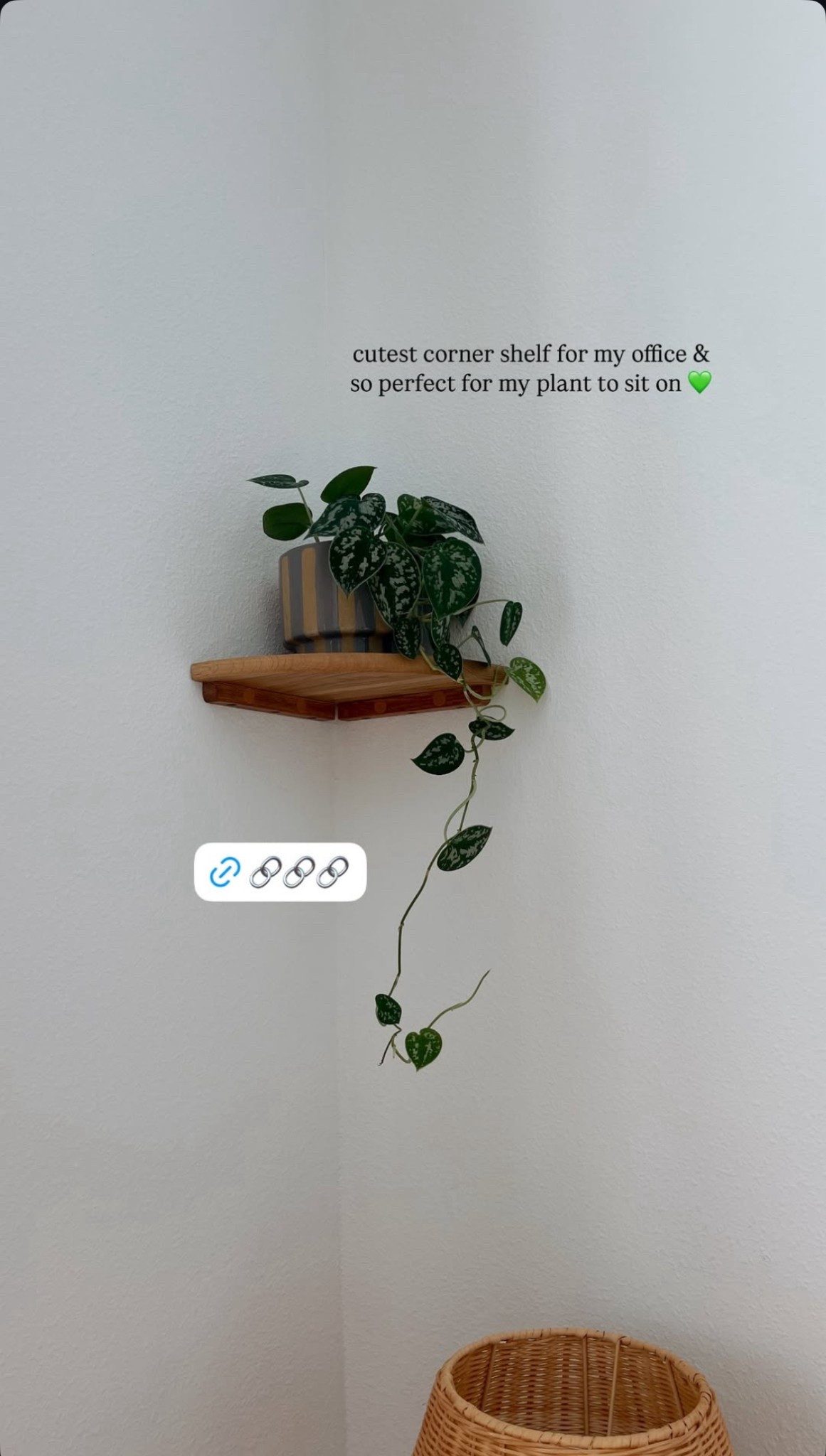 cutest corner shelf for my office & so perfect for my plant to sit on 🖤

#LTKFindsUnder50 #LTKFindsUnder100 #LTKHome