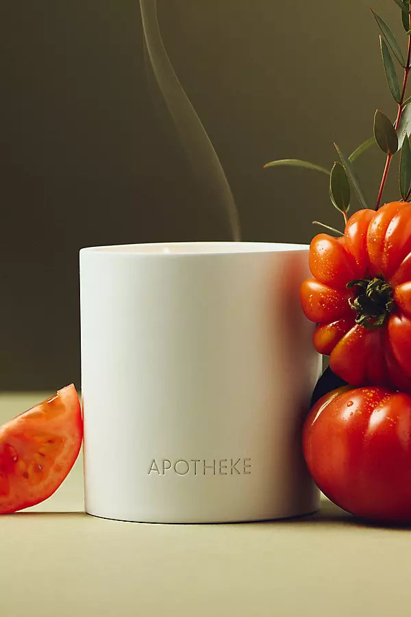 Garden Tomato Tarragon Boxed Candle | Anthropologie (US)