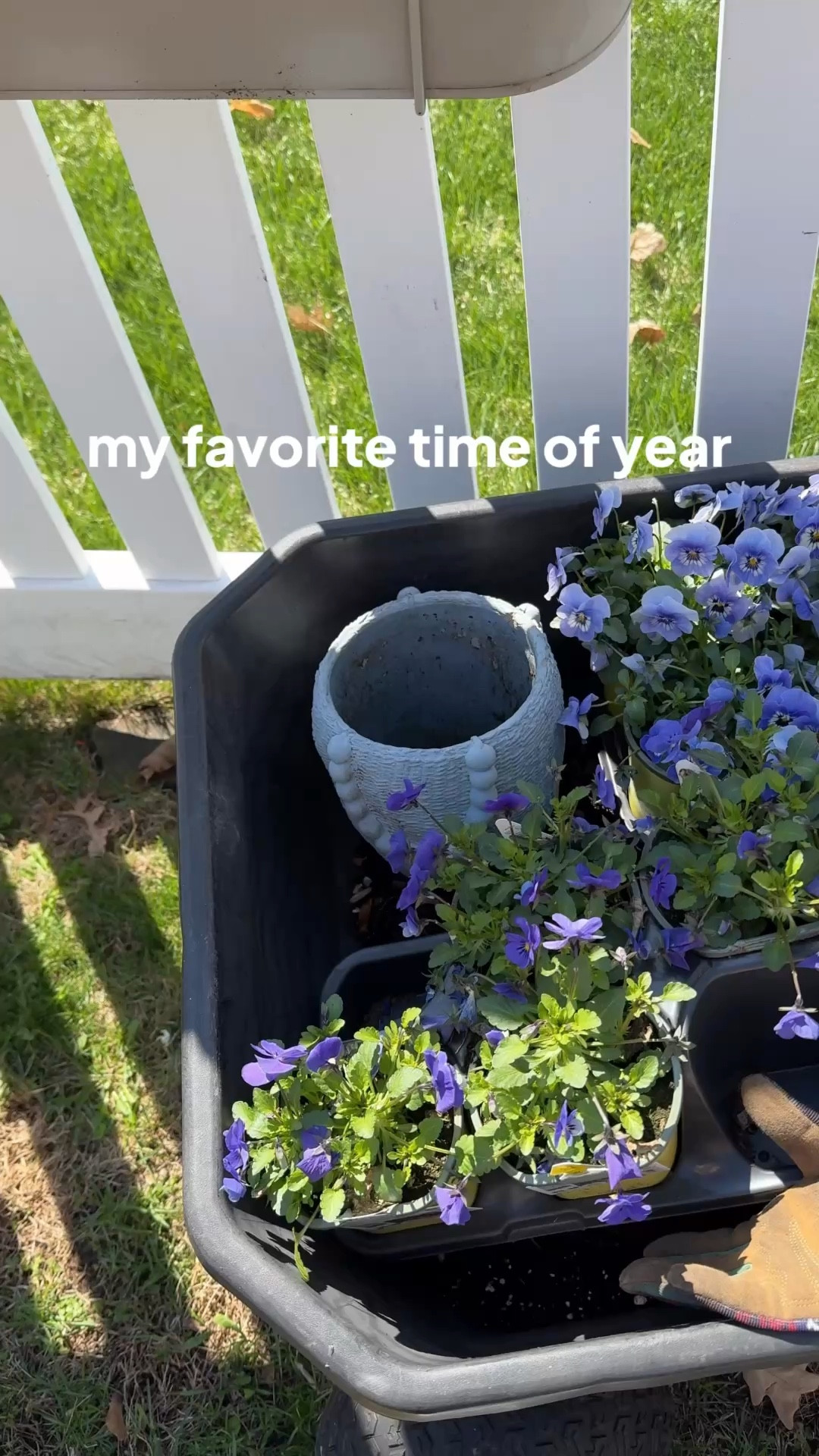 These ikea planters are so pretty and have lasted years. And gardening without a gorilla cart? I can’t. It saves me and my back.

#LTKvlog #LTKSeasonal #LTKHome