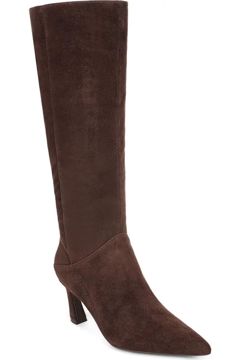 Edina Pointed Toe Knee High Boot (Women) | Nordstrom | Nordstrom