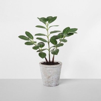 15" Faux ZZ Potted Plant - Hearth & Hand™ with Magnolia | Target