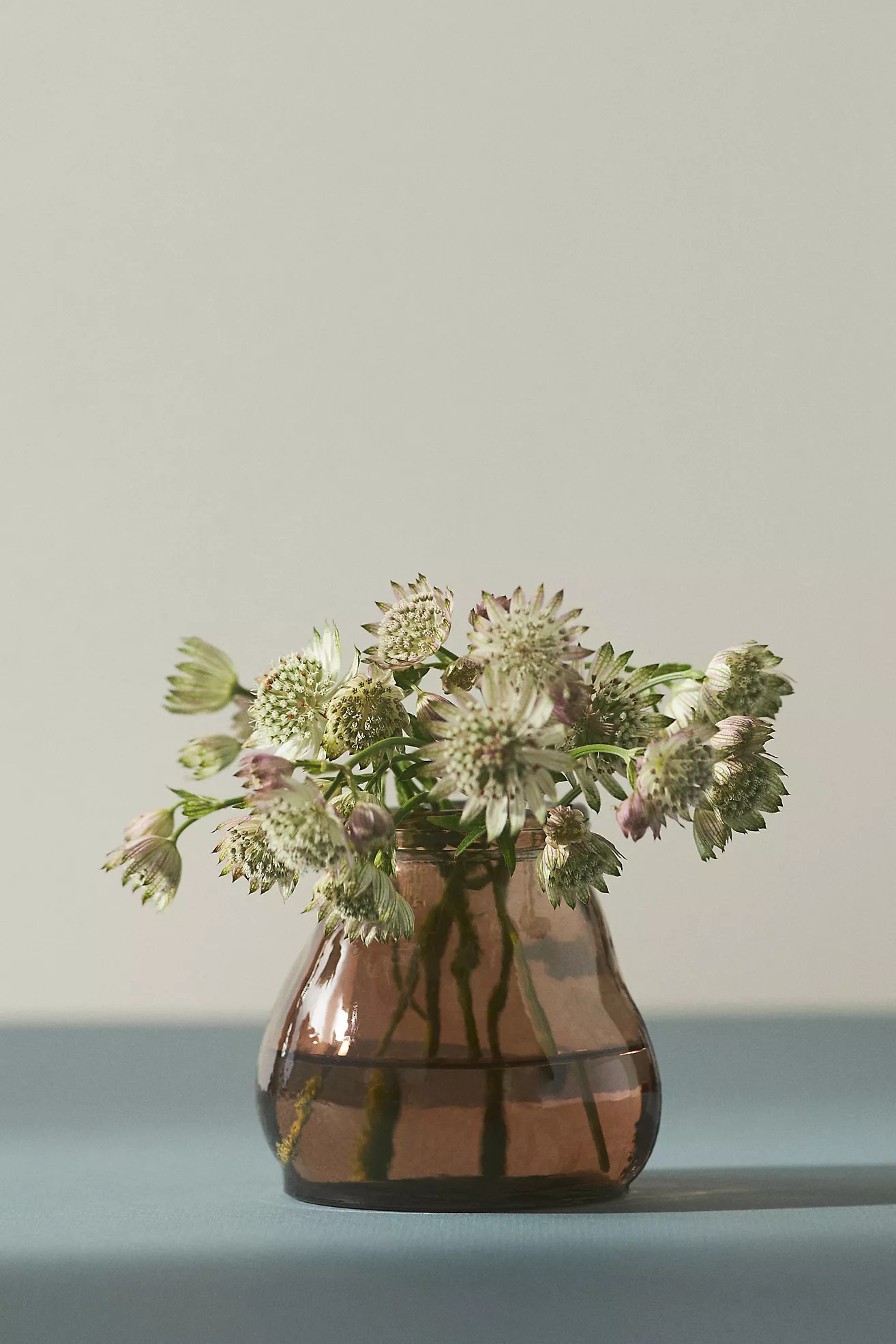 Valencia Bud Vase | Anthropologie (US)
