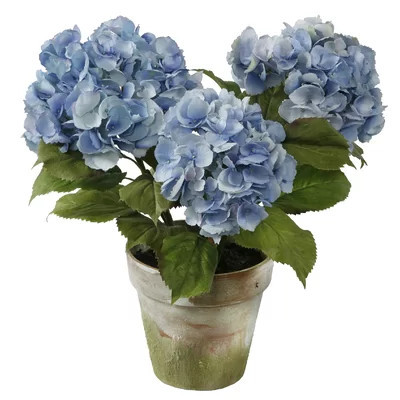 Hydrangeas 3 Stems in Clay Pot | Wayfair North America