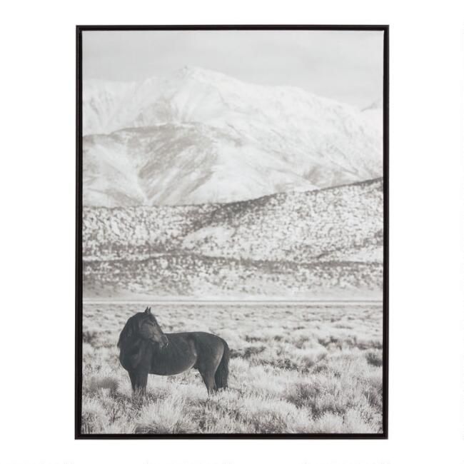 Horse And Hills Black And White Framed Canvas Wall Art | World Market