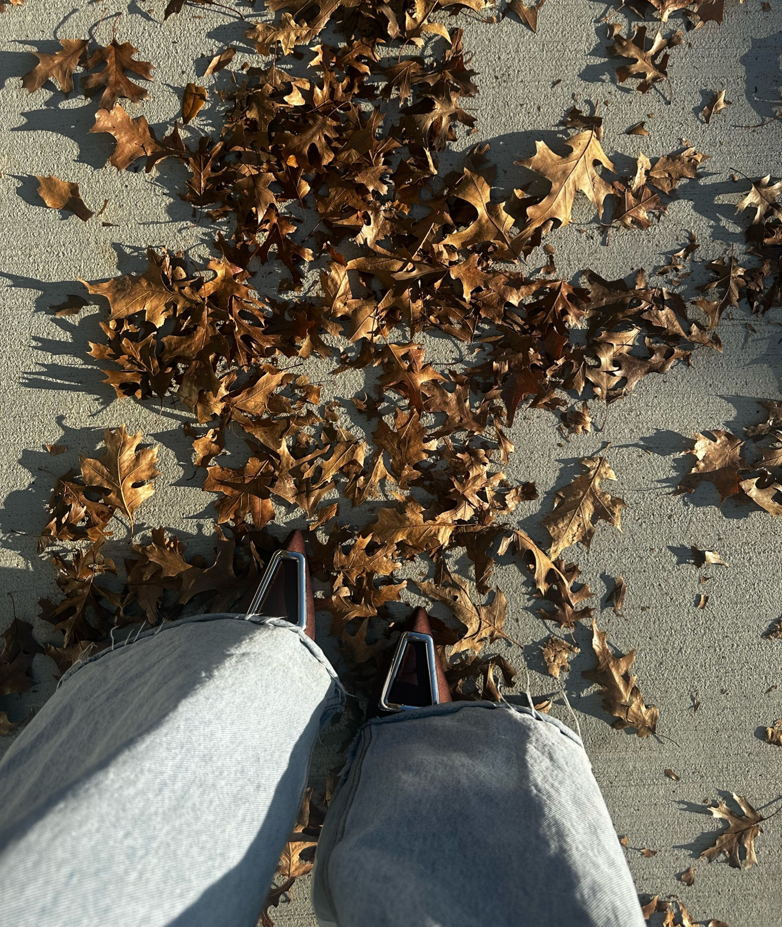 The best shoe #brownheel #brownsilverheel #heel #silverbuckle #giannibini

#LTKParties #LTKHoliday #LTKSaleAlert