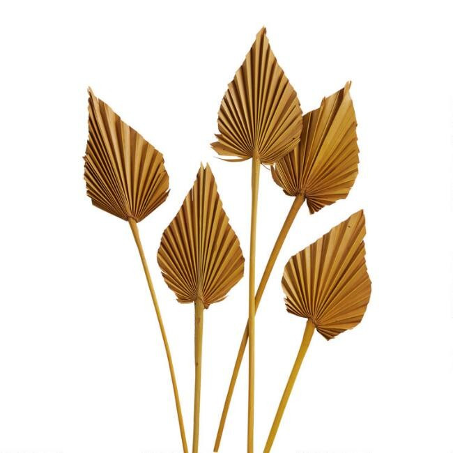 Dried Palm Spear Bunch | World Market