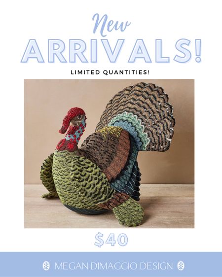 Brand new Thanksgiving themed throw pillows!! I feel like we never get any cute options for Thanksgiving! 🤣🦃 This Turkey pillow is GORGEOUS with the beaded detail on its head!! Looks like pottery barn but is just $40!! I expect this to go so fast!! Linked the entire new Thanksgiving throw pillow collection too!

#LTKfindsunder50 #LTKhome #LTKHoliday