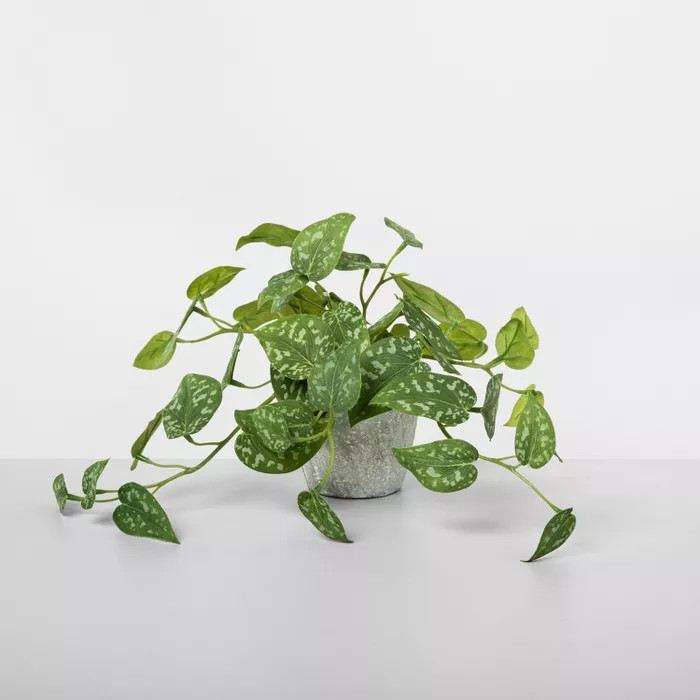 Faux Silver Vine Potted Plant - Hearth & Hand™ with Magnolia | Target