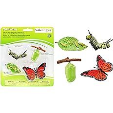 Safari Ltd Life Cycle of a Monarch Butterfly | Amazon (US)