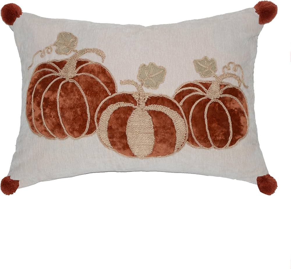 Hahadidi Fall Lumbar Pillow Covers Farmhouse Embroidered Pumpkin Pillow Covers Thanksgiving Harve... | Amazon (US)