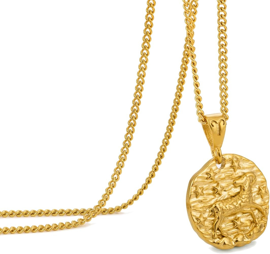 Speroto Zodiac Necklace - Stainless Steel 12 Constellation Necklace for Men/Women Gold/Silver Pla... | Amazon (UK)