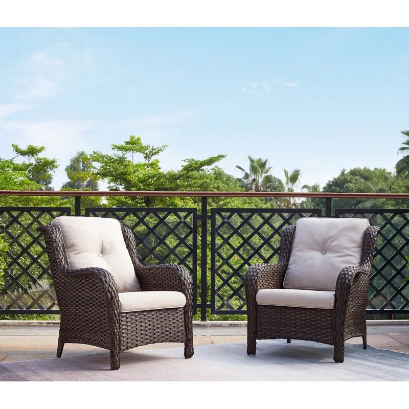 Patio Chair with Cushions | Wayfair North America