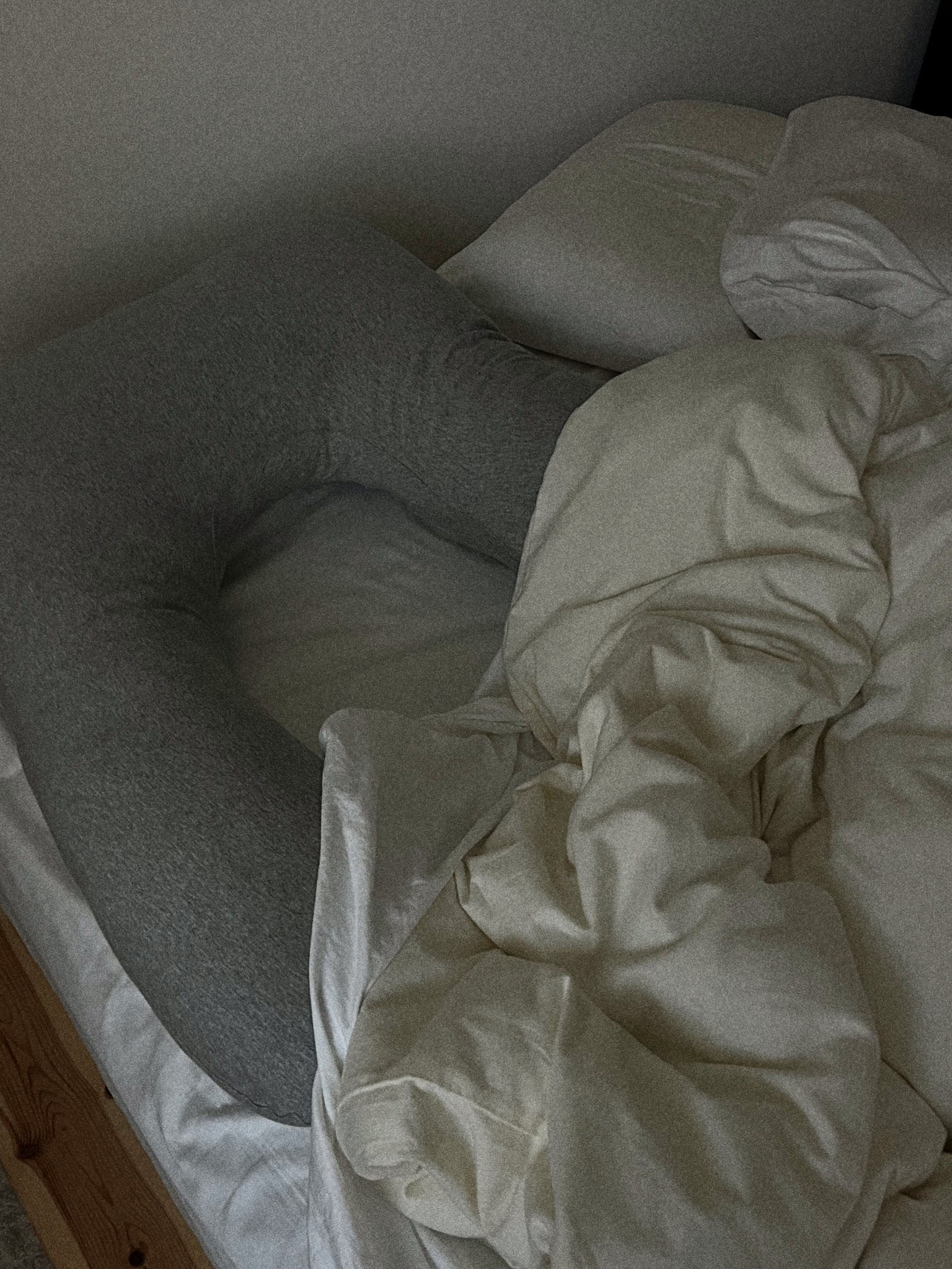 Pregnancy pillow 