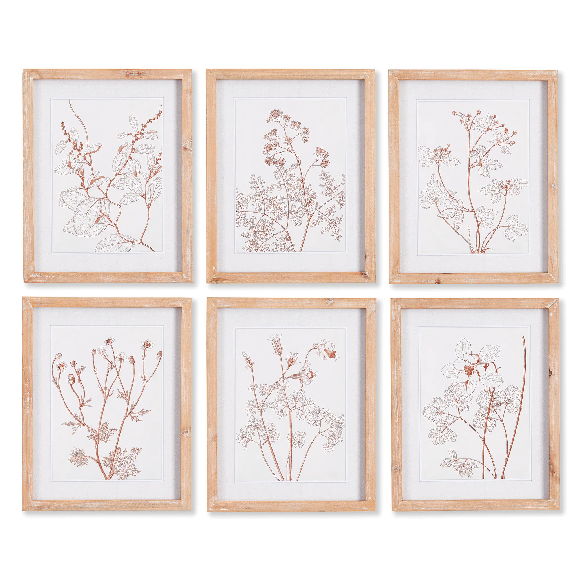 Libourne Botanicals Framed On Paper 6 Pieces Print | Wayfair North America