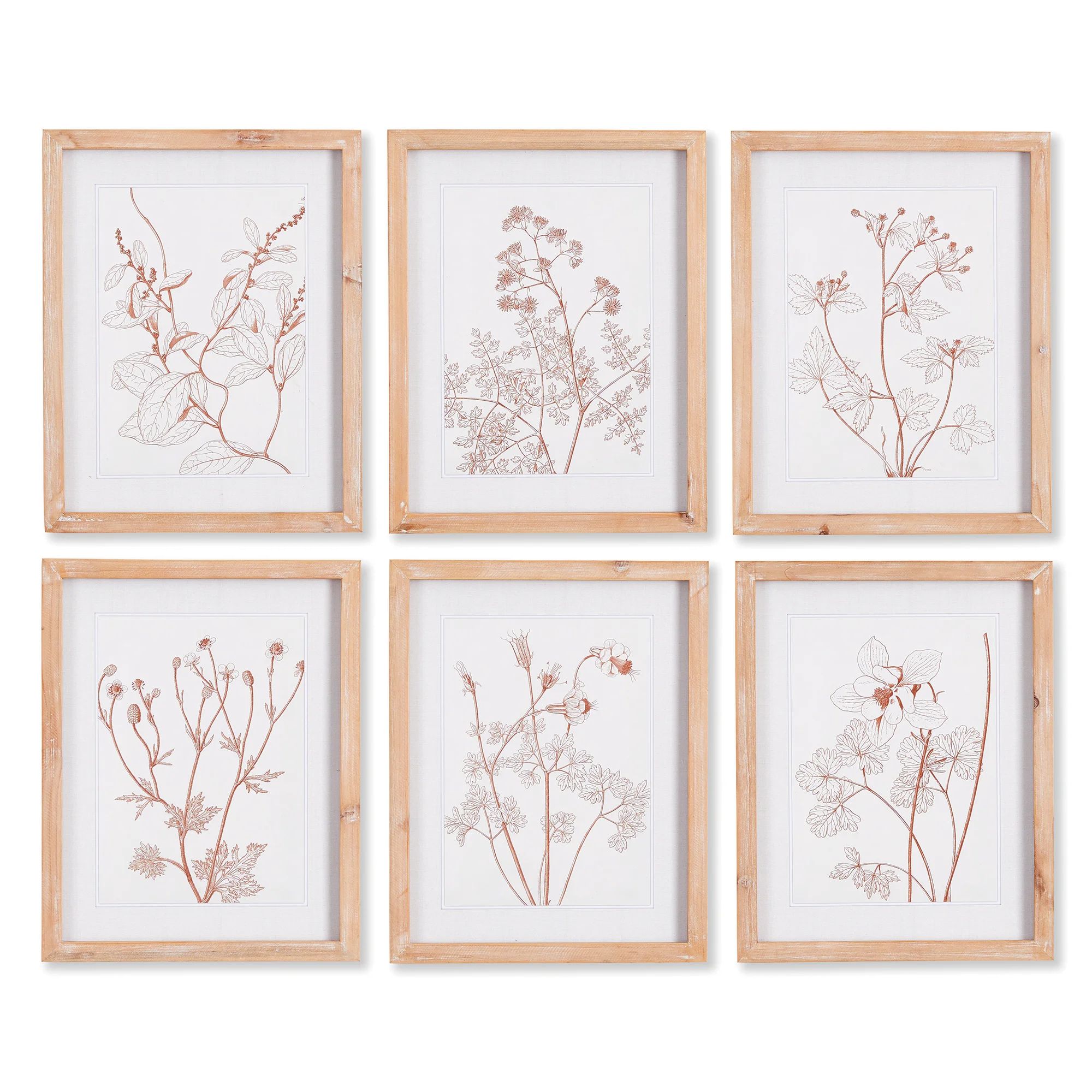 Libourne Botanicals Framed On Paper 6 Pieces Print | Wayfair North America