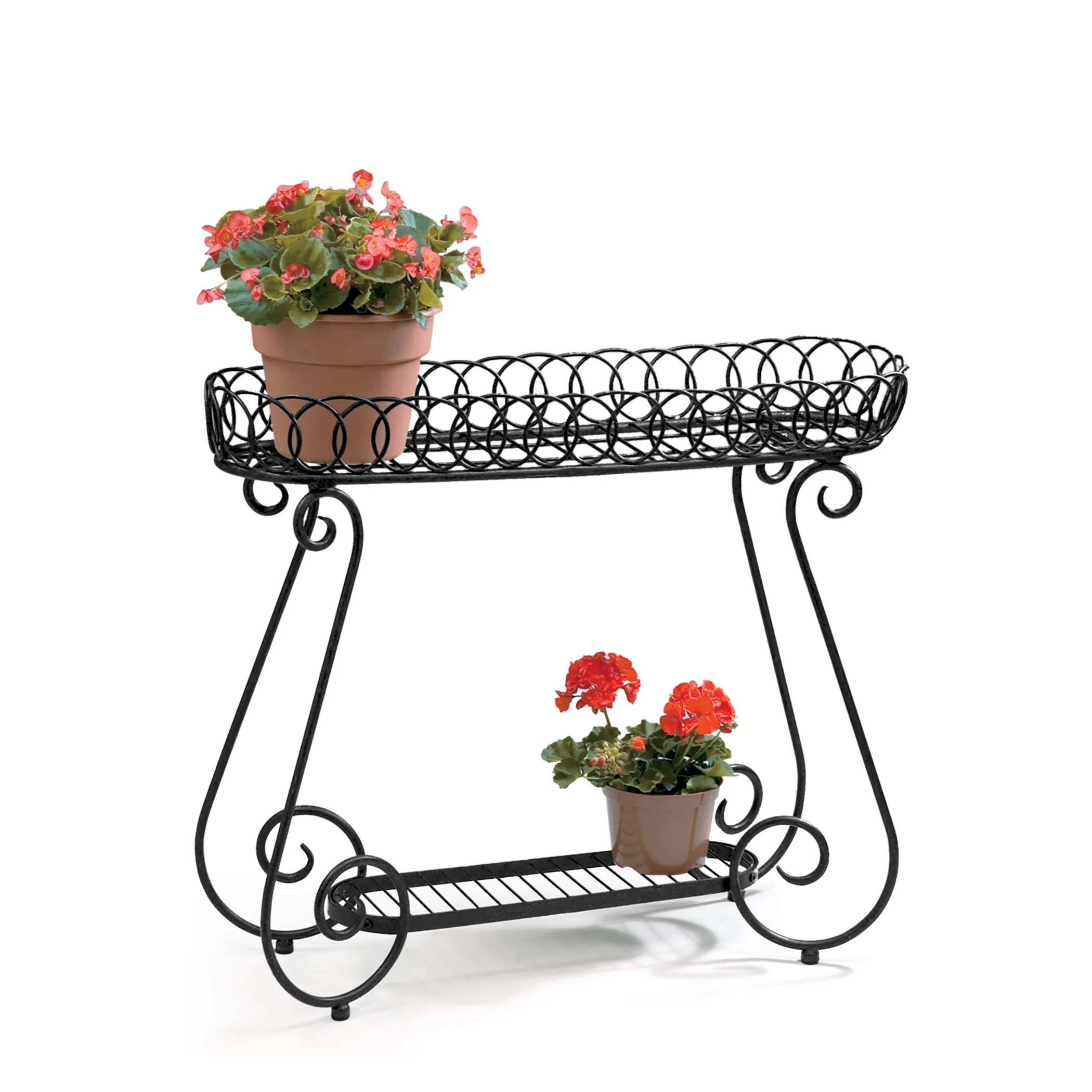 One Allium Way® Seaton Oval Ring Plant Stand & Reviews | Wayfair | Wayfair North America