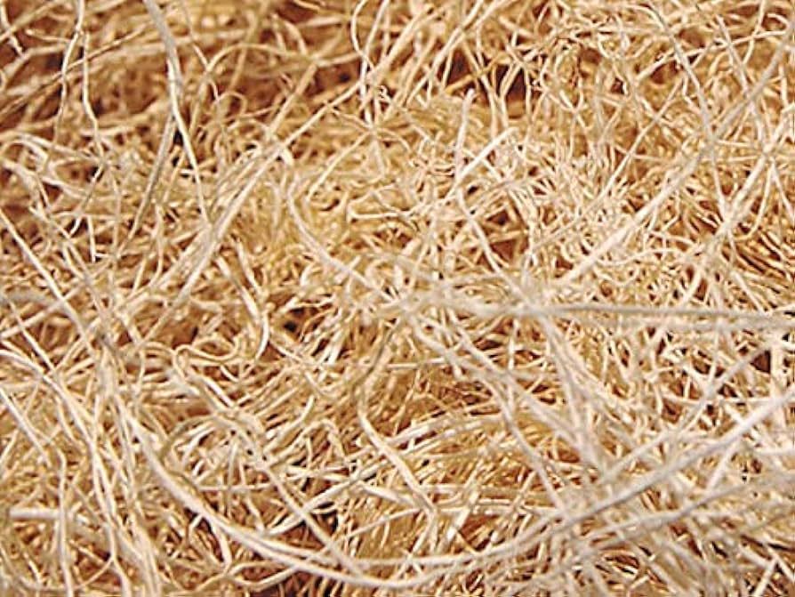 Stephanie Imports Made in USA Natural Wood Excelsior 2lbs of Shredded Aspen Wood Fibers (Fine) | Amazon (US)