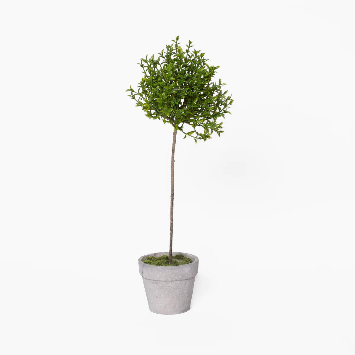 Thyme Faux Topiary | Stoffer Home